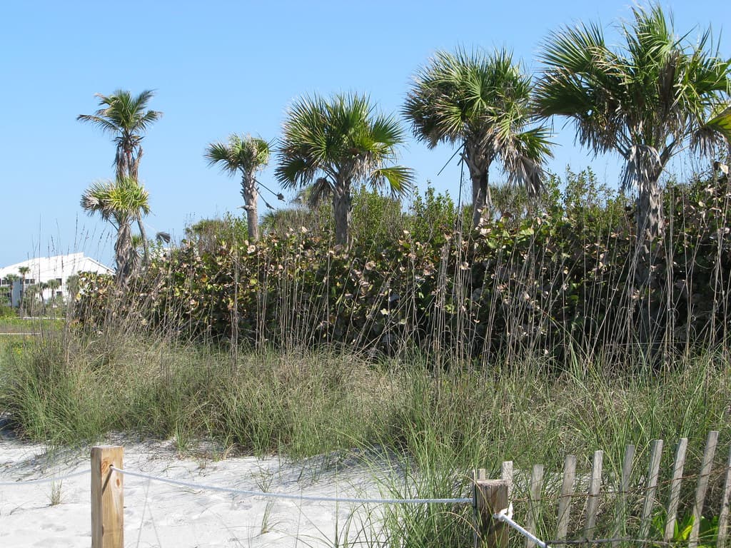 Alison Hagerup Beach Park