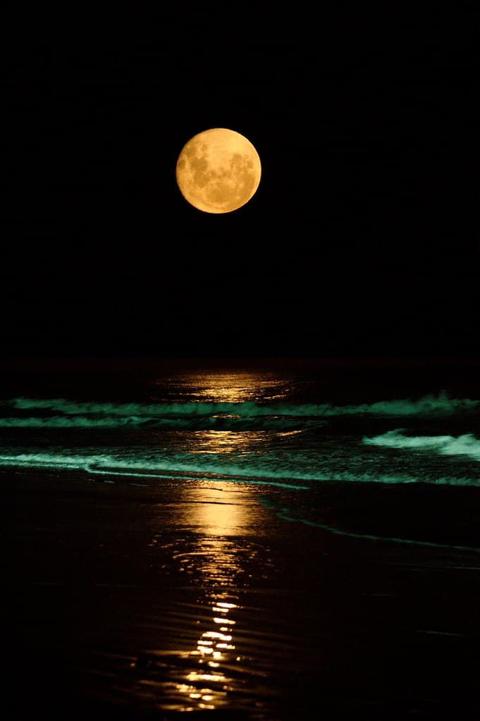 Playa Punta Negra