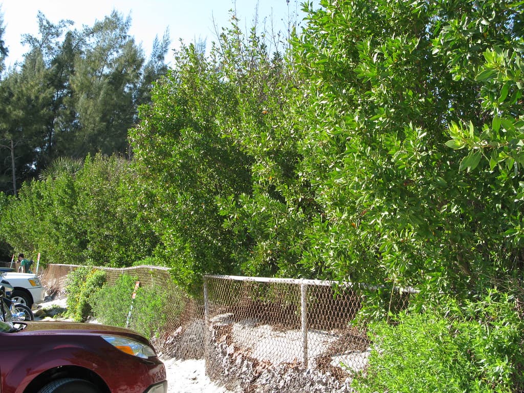 Alison Hagerup Beach Park