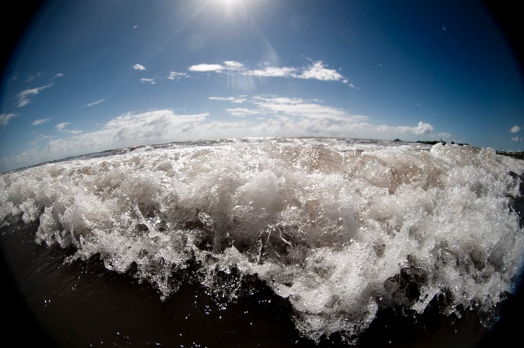 tiny wave