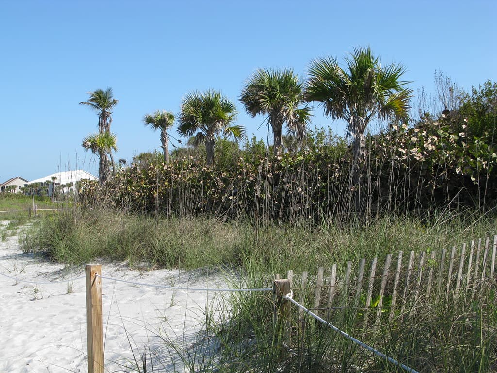 Alison Hagerup Beach Park