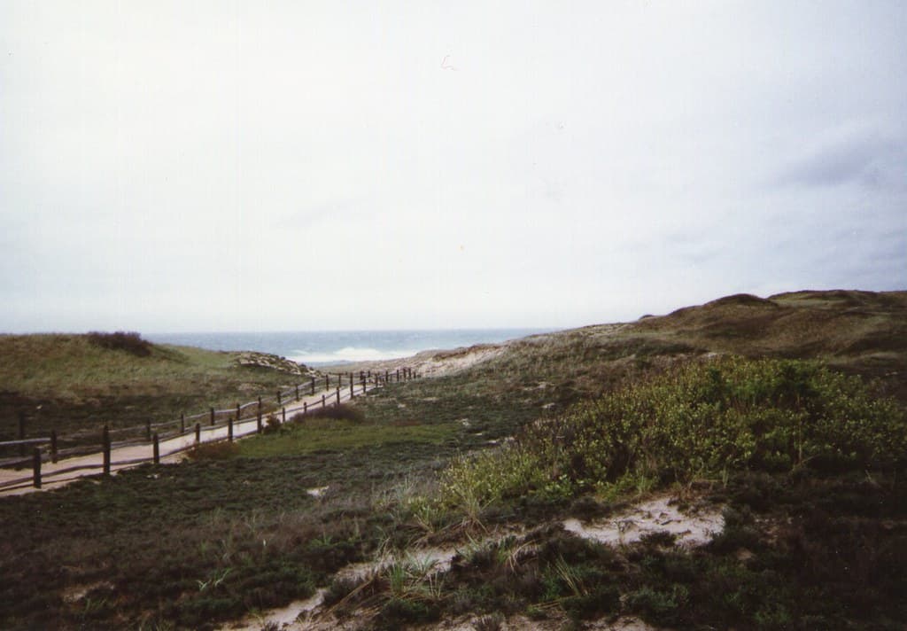 Paines Creek Beach — photo by allnightavenue
