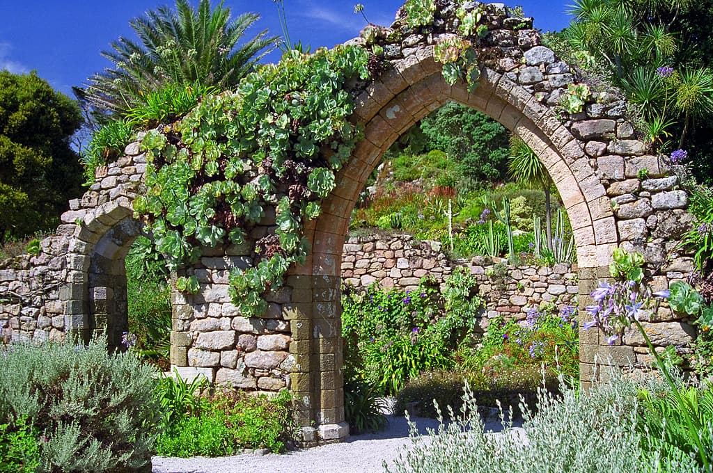 Tresco Abbey Gardens, Scilly Isles, UK | Ruined abbey arch covered in plants in this superb sub-tropical garden (1 of 12)