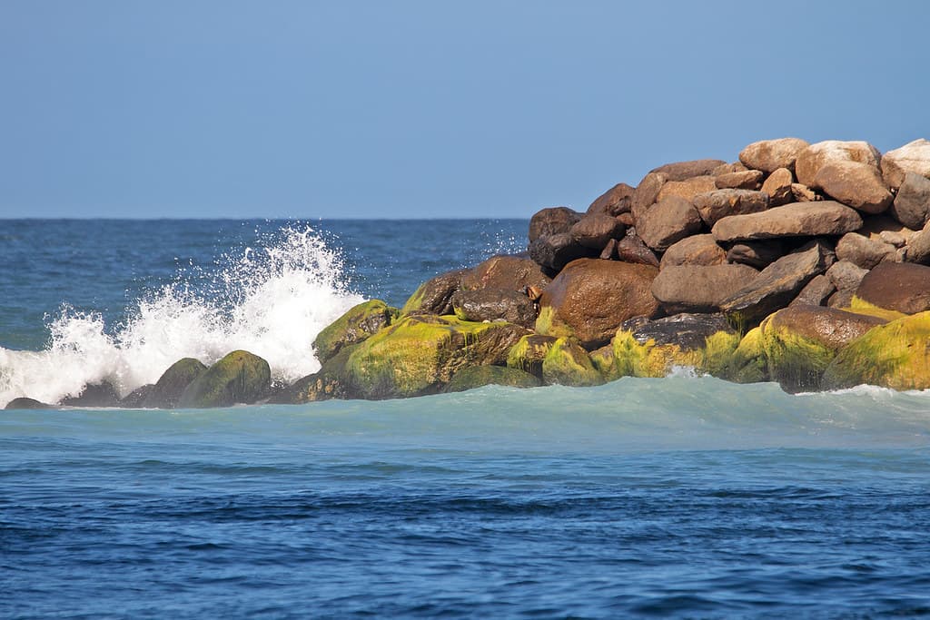 Playa Naiguatá — photo by Erick Houli