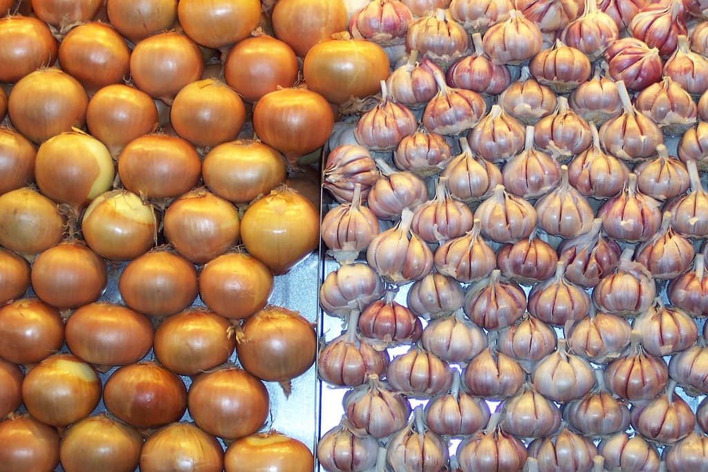 ajos o cebollas?