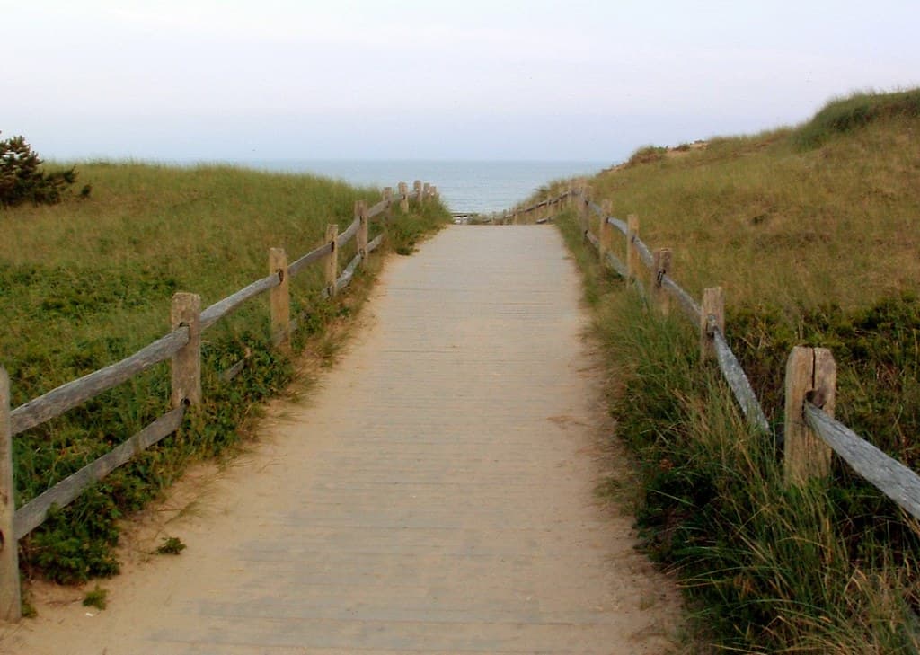 A path to the ocean. Cape Cod, Massachusetts