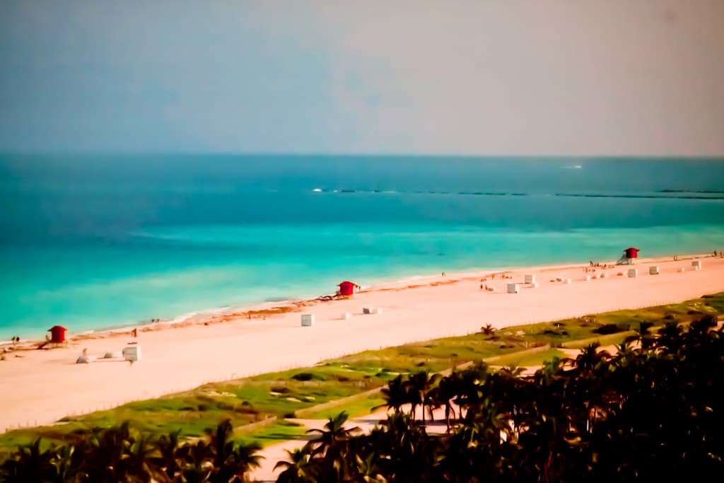 Miami Never Looked So Good