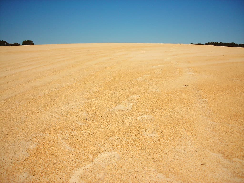 henty sand dunes