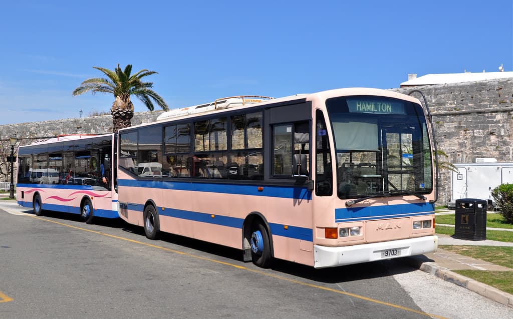Bermuda bus queue
