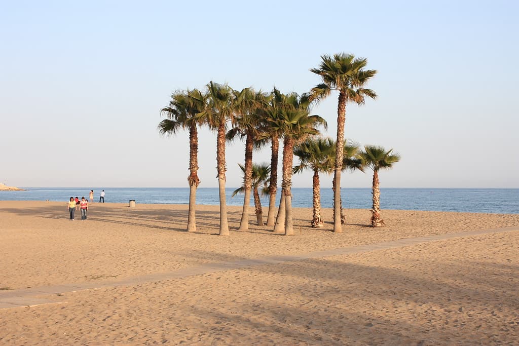 Playa de la Pallisseta
