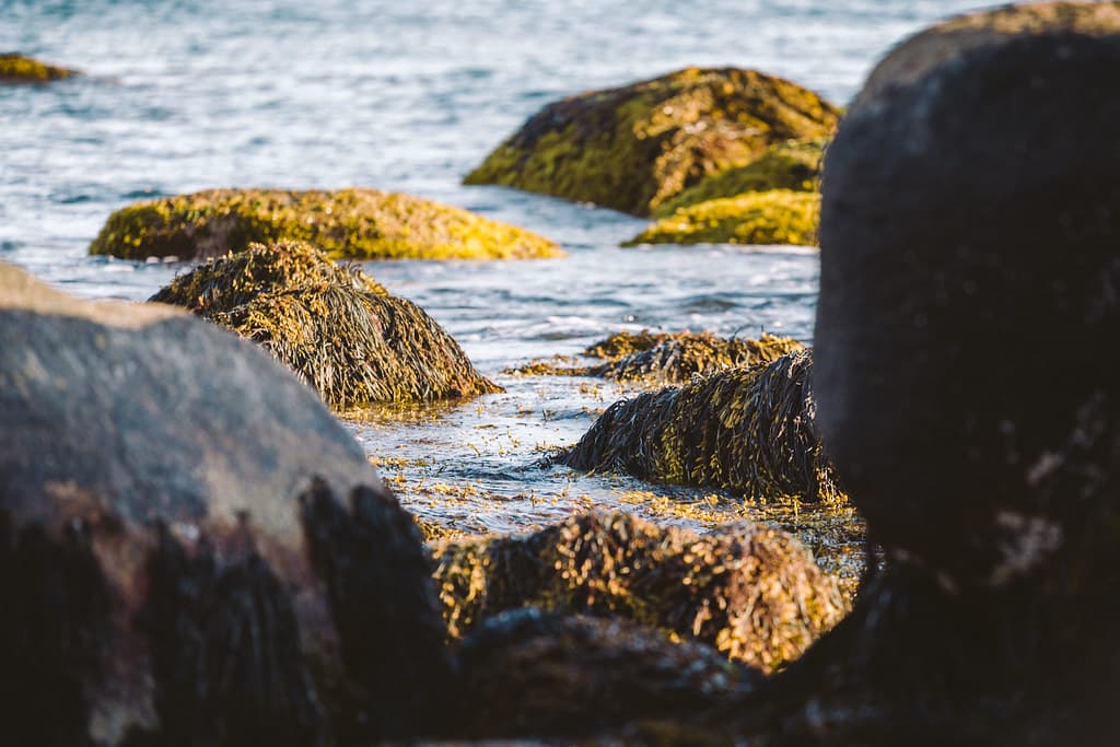 Weekapaug Point, RI