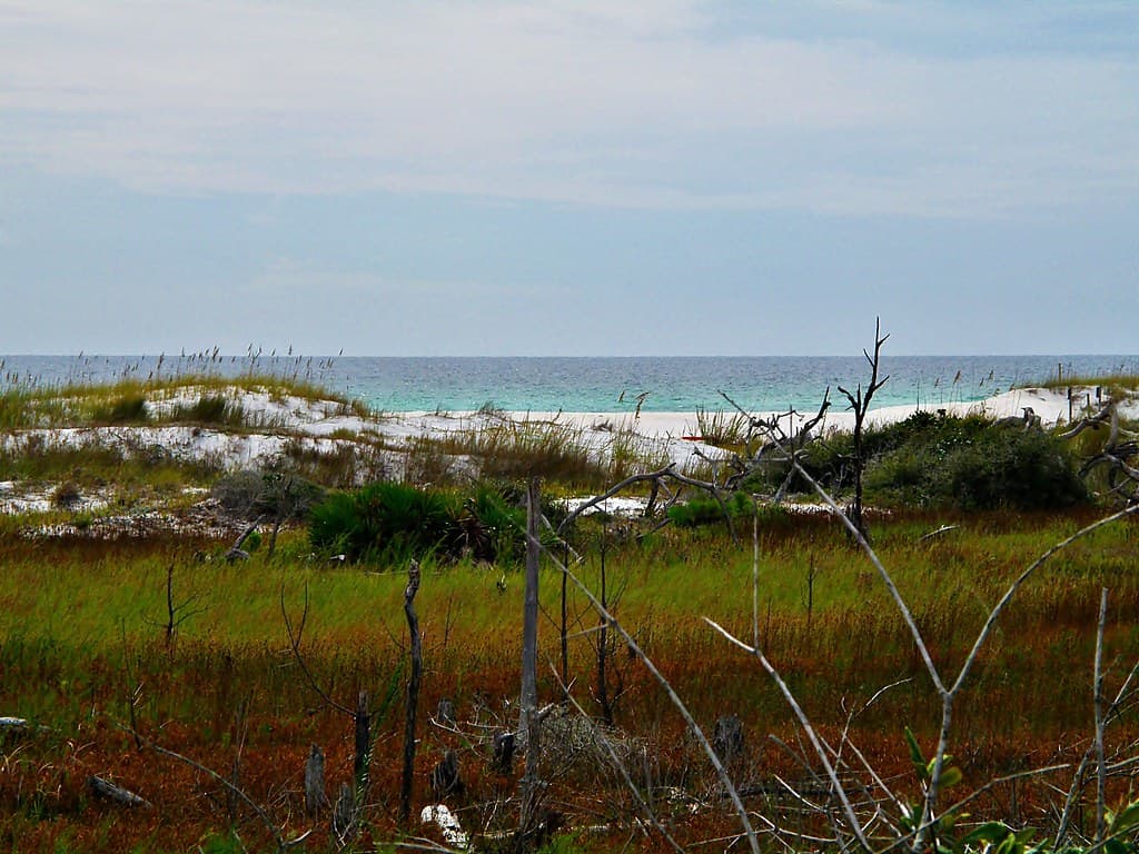 Topsail Hill State Park, Florida Panhandle: Gulf of Mexico