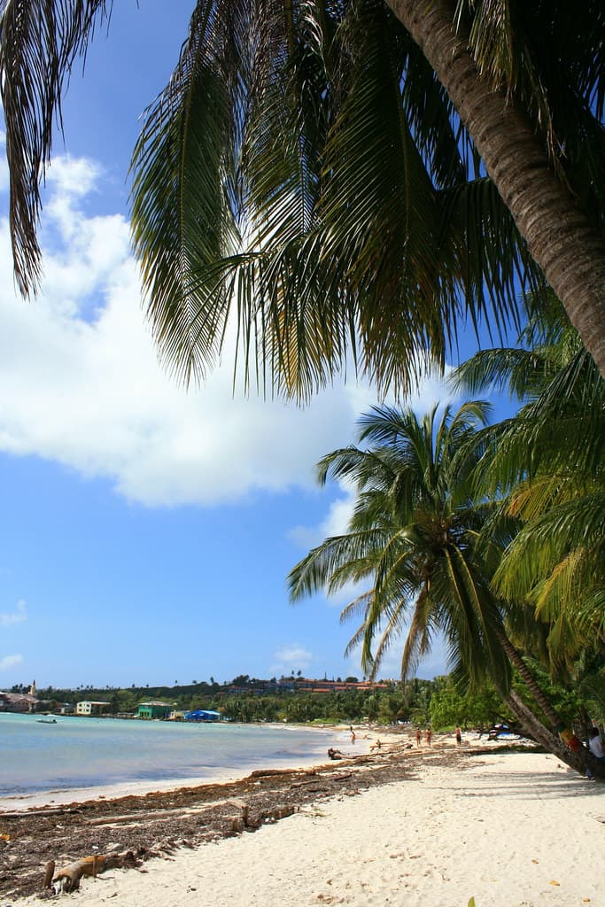 Johnny Cay Beach — photo by Flowizm