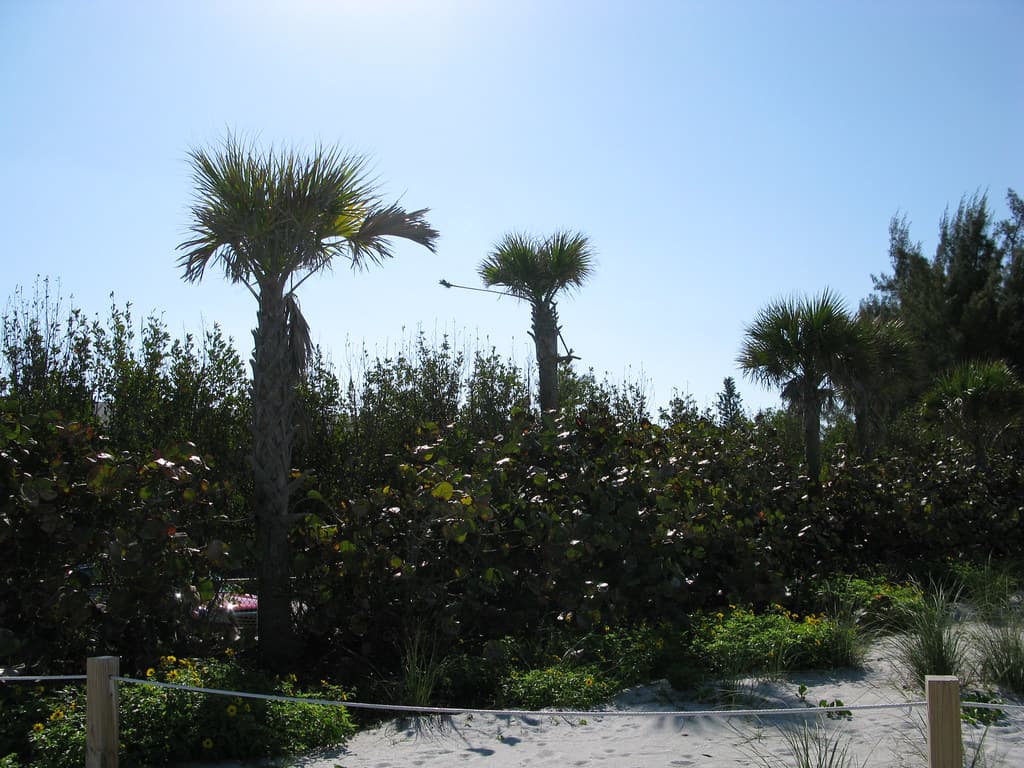 Alison Hagerup Beach Park
