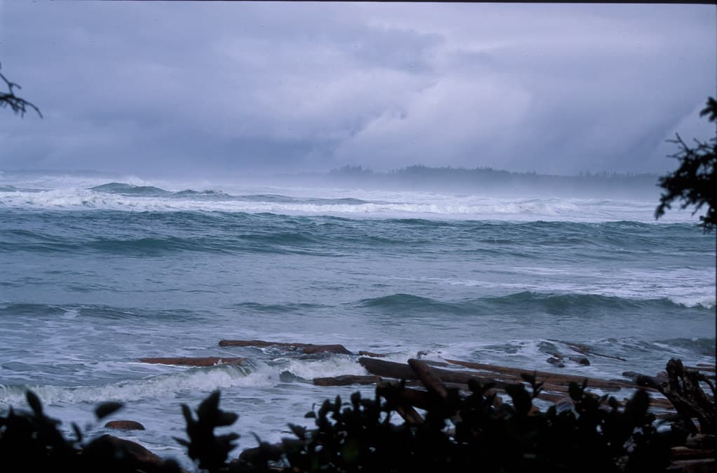 Pachena Bay Beach — photo by maholyoak