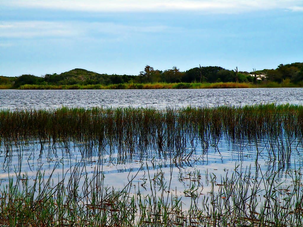 Topsail Hill State Park, Florida Panhandle: Campbell Lake