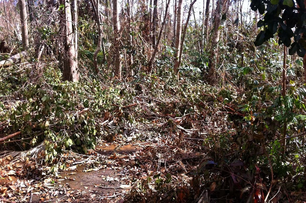 20110209adf8565510_001.jpg