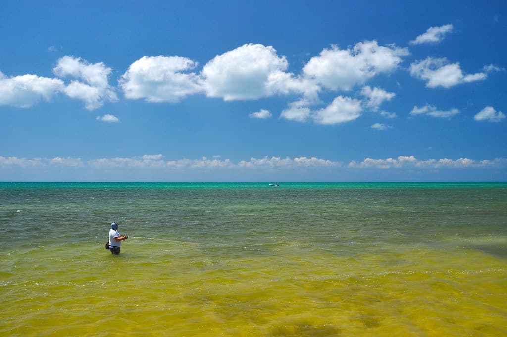 Long Key State Park，FL