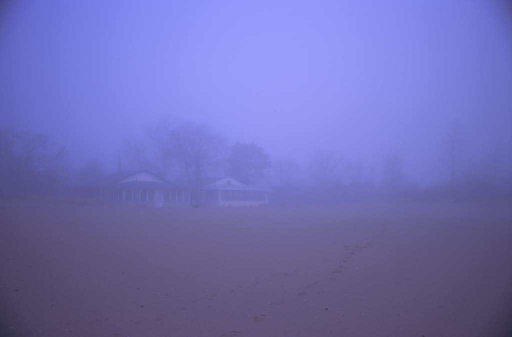 Beach Houses