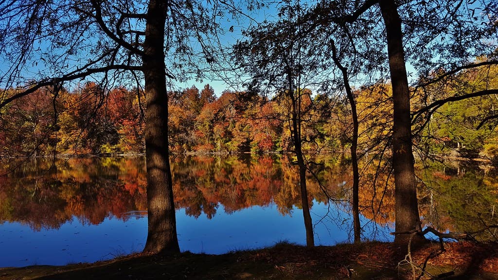 Edgewater Lake Scenery 2016