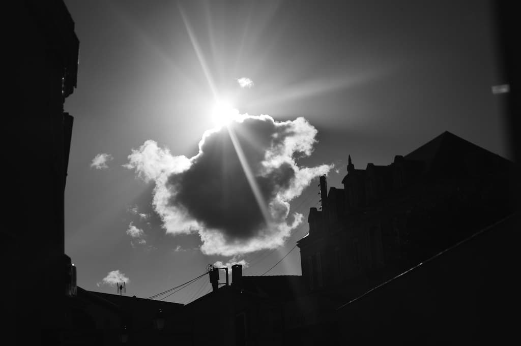 _DSC0024
