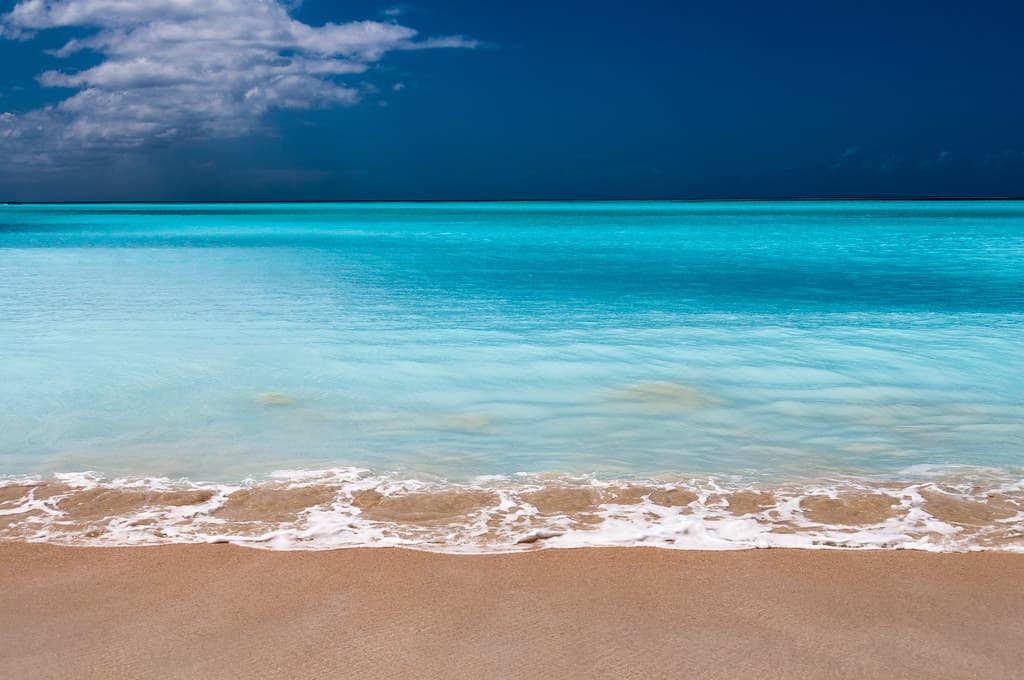 Johnsons Point Beach