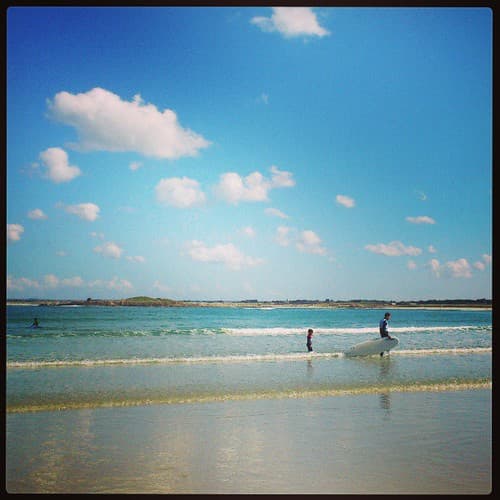 Baie de pors carn sous le...