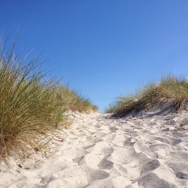 Vallensbæk Strand — photo by tulenheimo