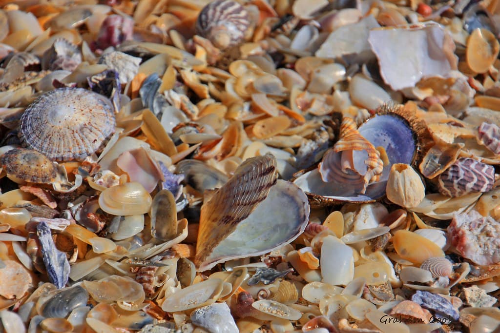 Bluff beach at beautiful Iluka