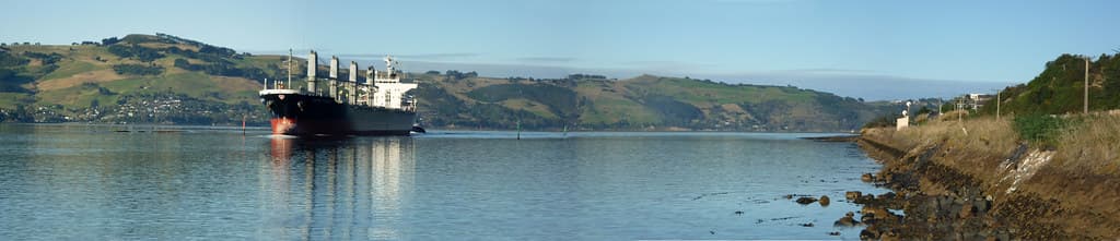 Otago Harbour