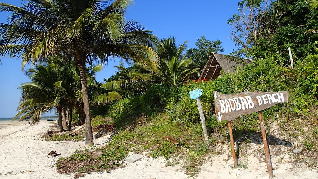 Baobab Beach — photo by zoanaa