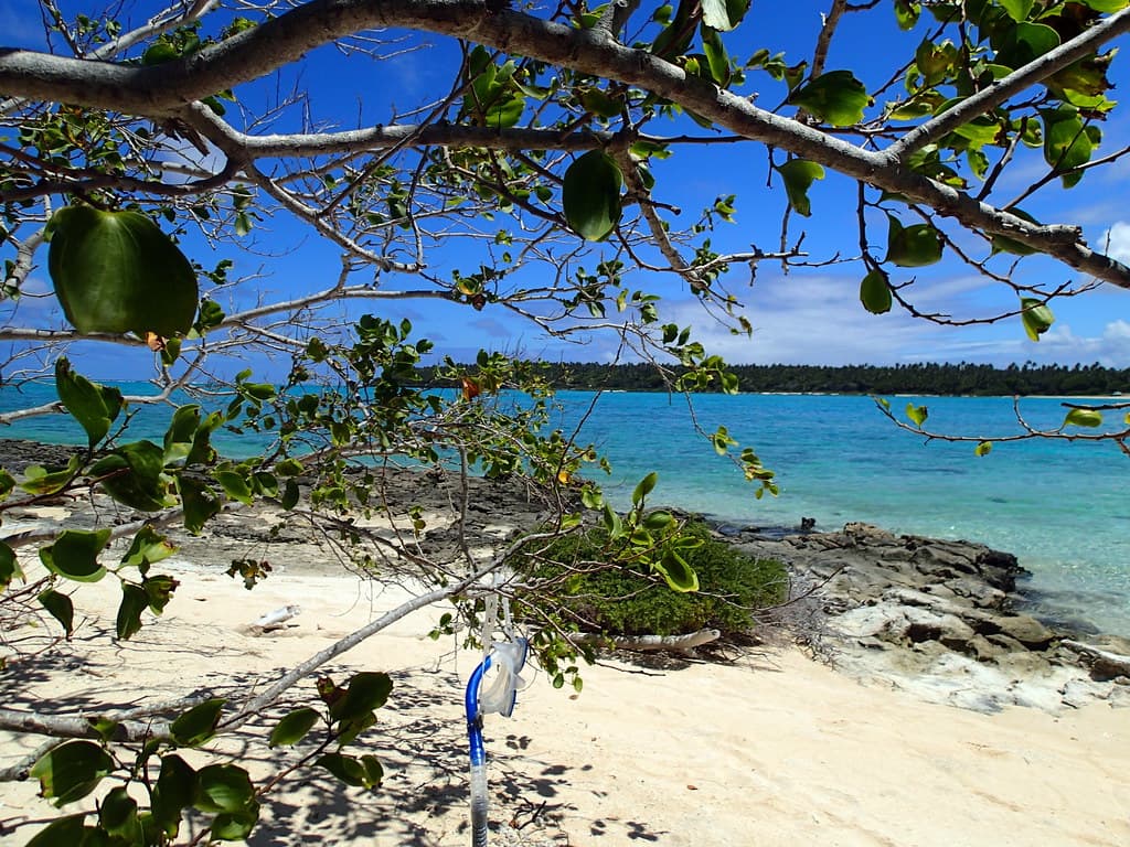Haʻano North Beach — photo by dr.scott.mills