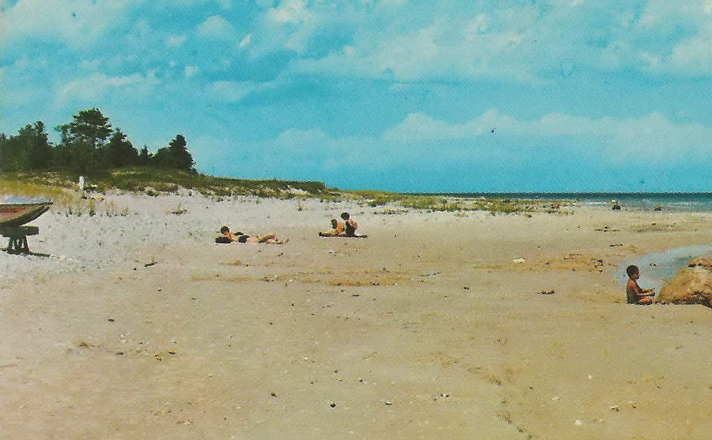 NE Rogers City MI 1960s BEACH BABES and Family FUN at Presque Isle County Lake Huron Beach PH Hoeft State Park 5 Miles North of Rogers City2