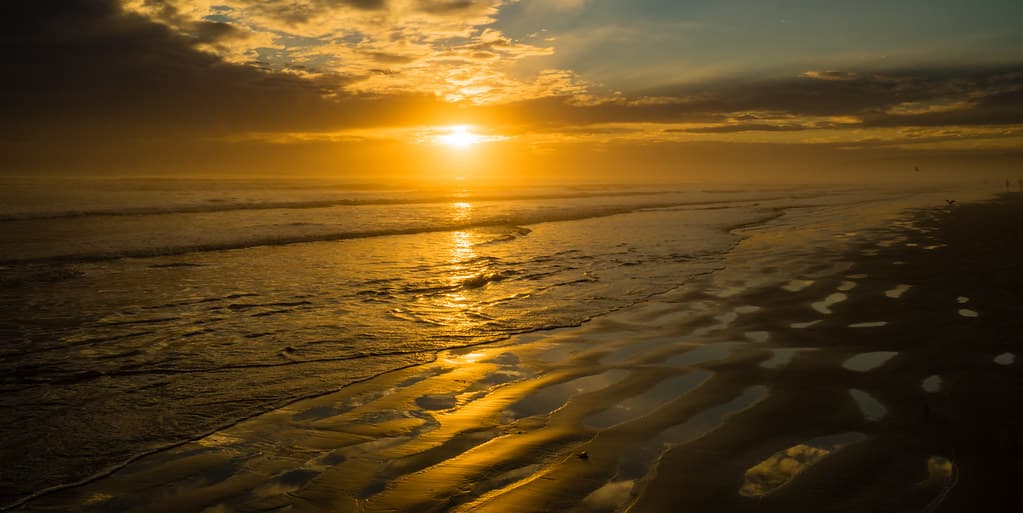 Molten Gold