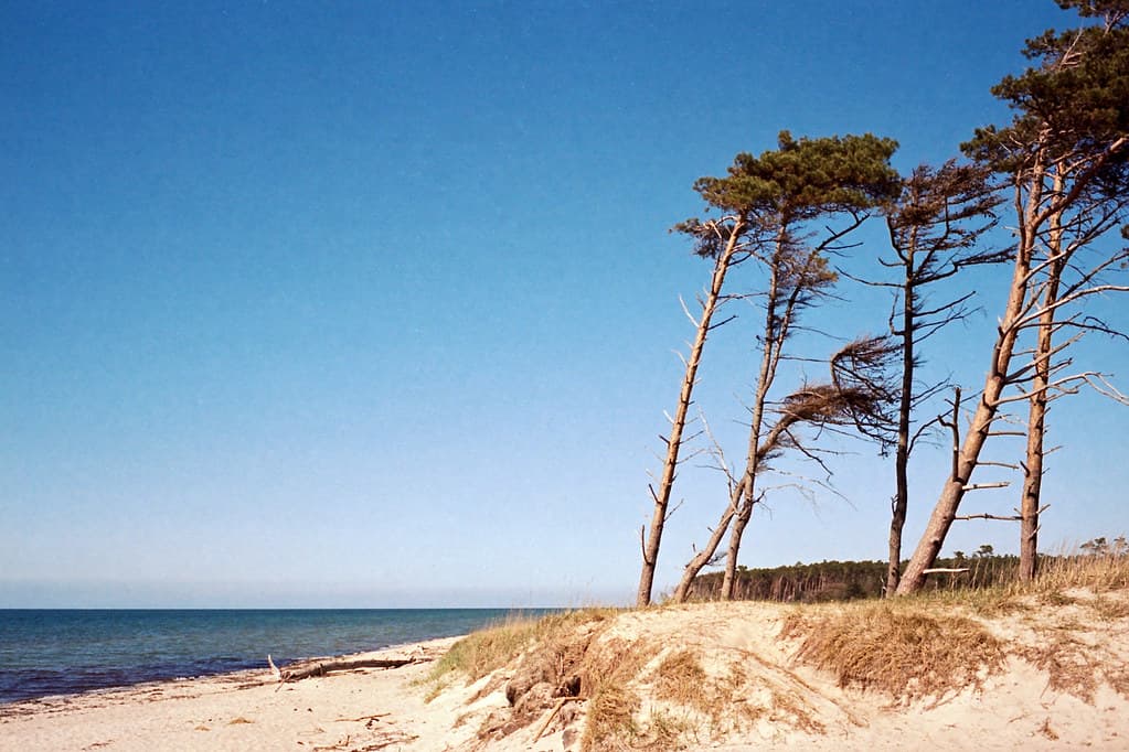 Bliesenrad Bodden Beach — photo by melquiades1898