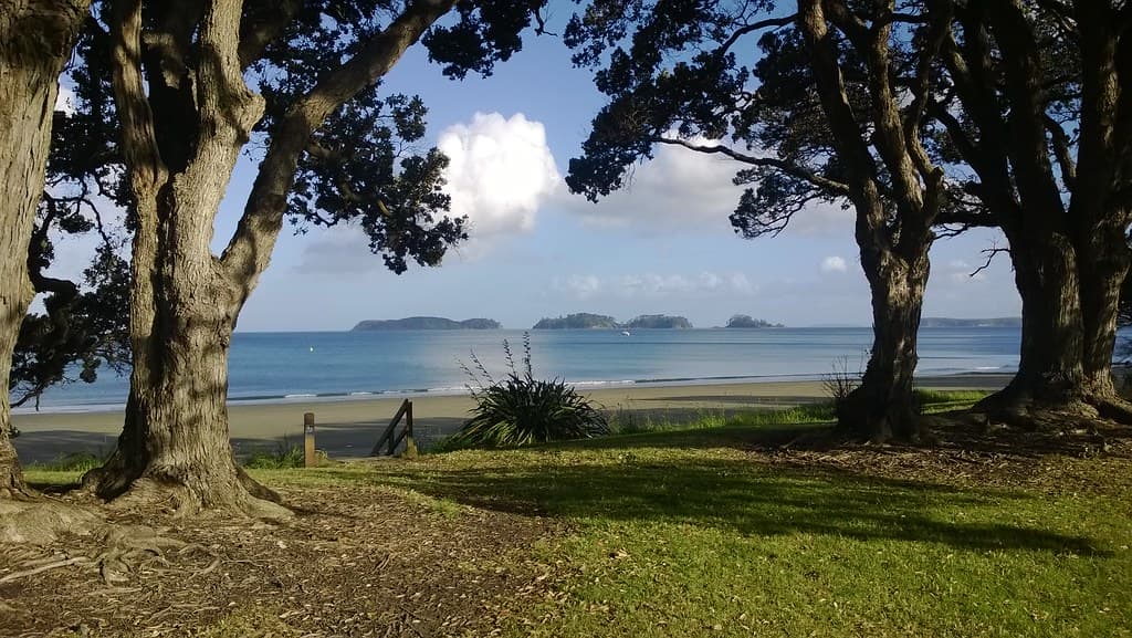 Martins Bay — photo by Yortw