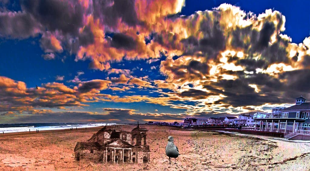 Sand Castle for the Birds