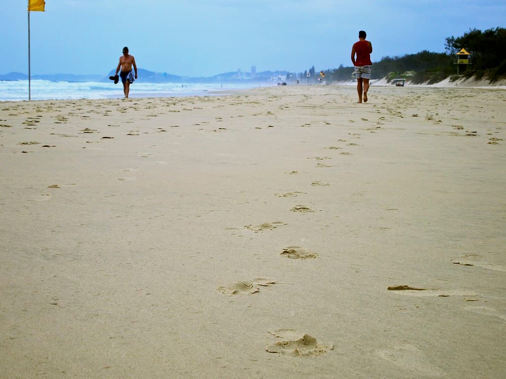 Overcast Walk