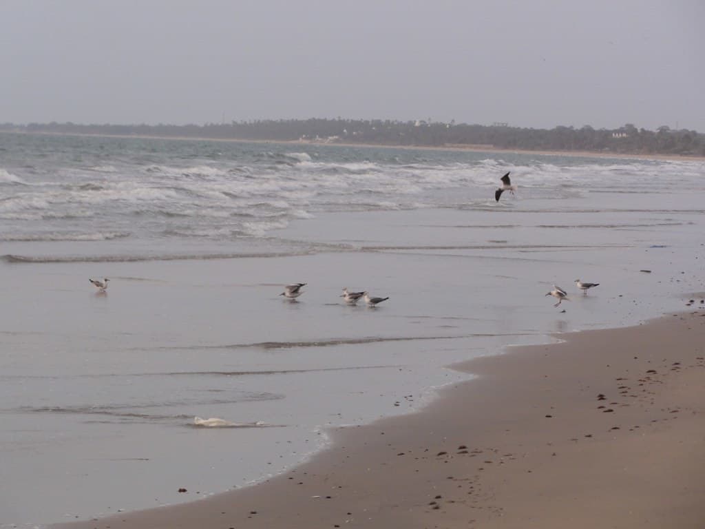 Tanji Quiet Shore