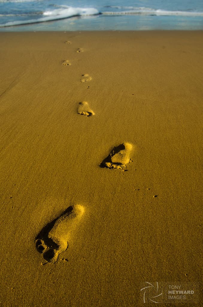 _IGP4347 Minnamurra Beach footprints