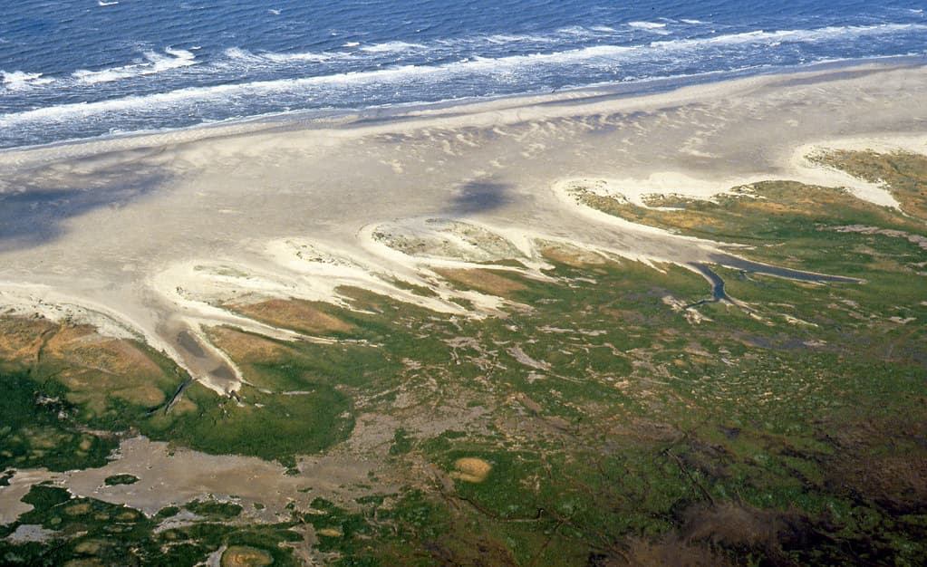 Beach, dunes and saltmarshes, Norderney, Lower Saxony Wadden Sea National Park, Germany