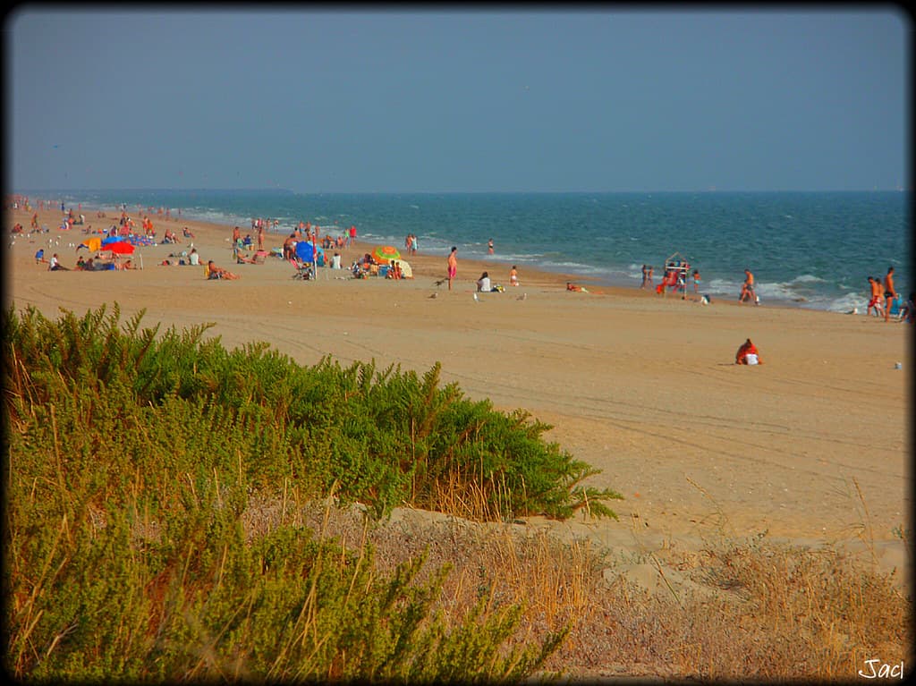 Playa de la Bota (Huelva)