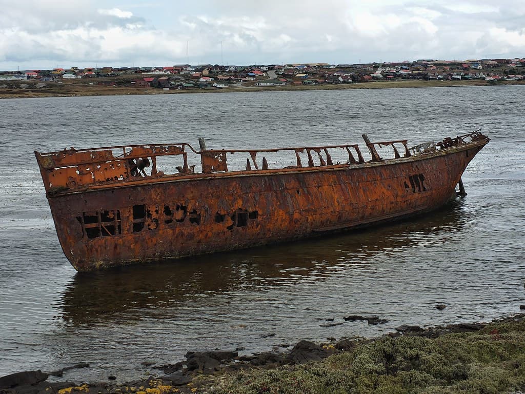 Whalebone Cove, Falklands, 243