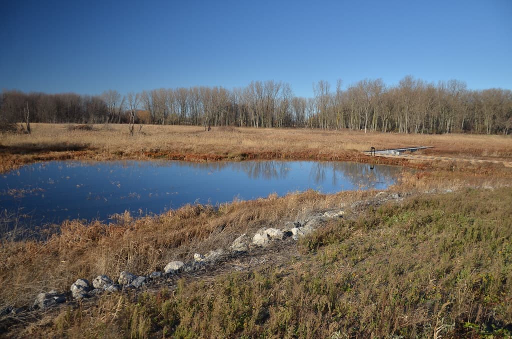 Lake Saint Clair Metropark 228