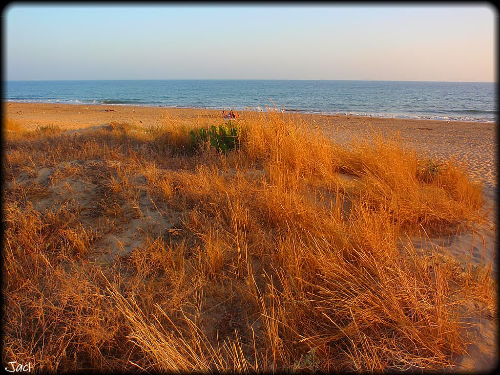 Playa de la Bota (Huelva)