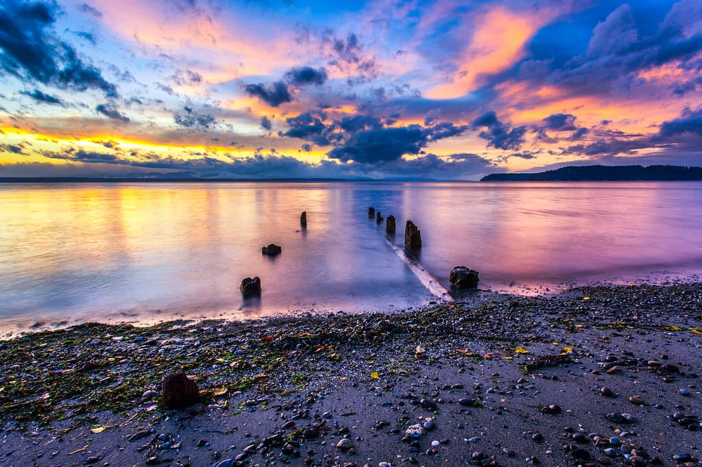 Picnic Point Beach
