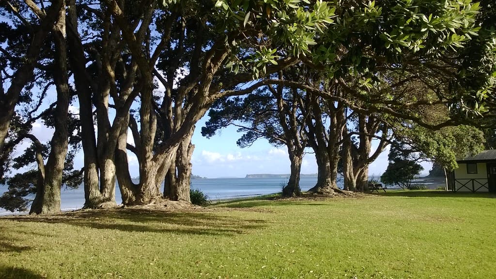Martins Bay — photo by Yortw