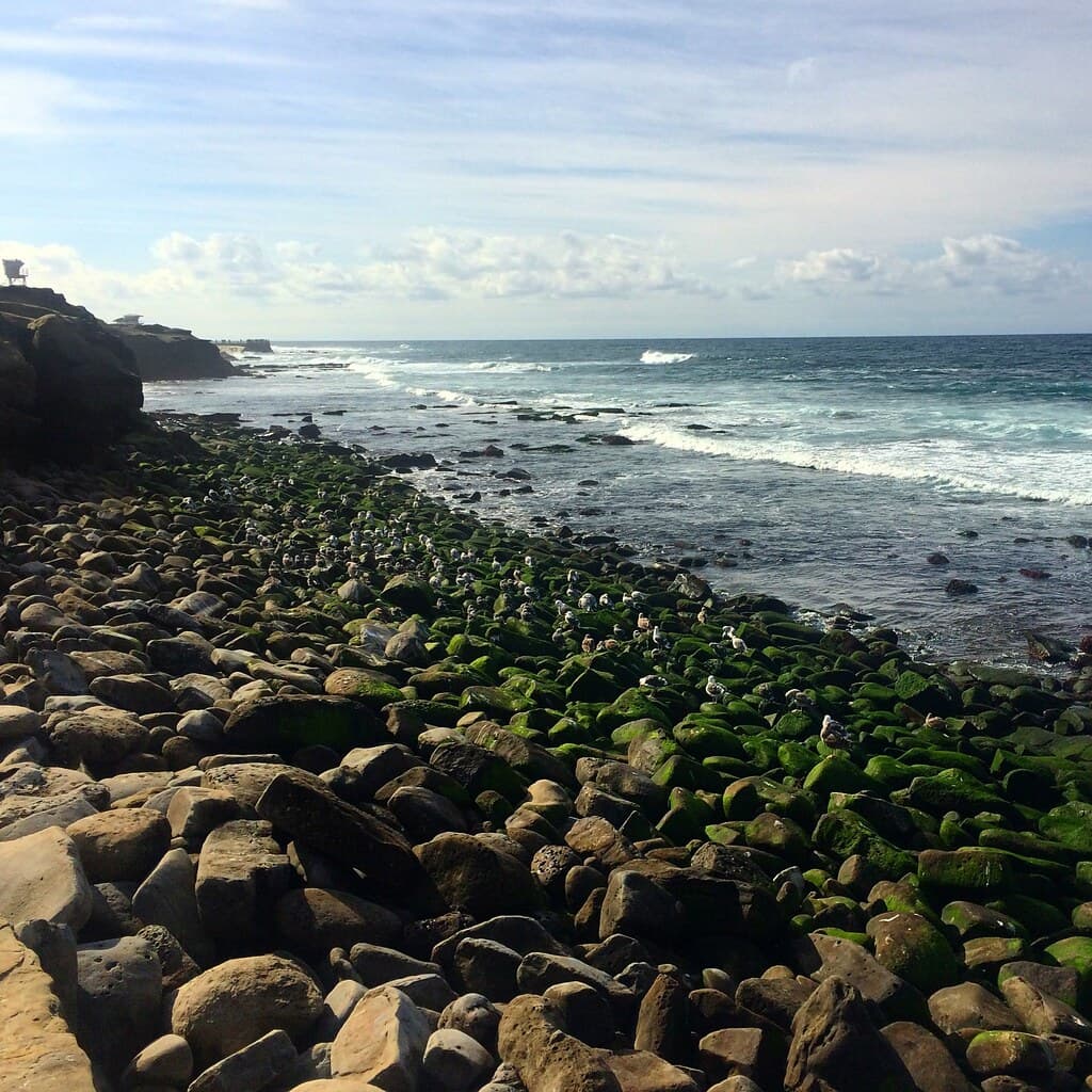 San Diego