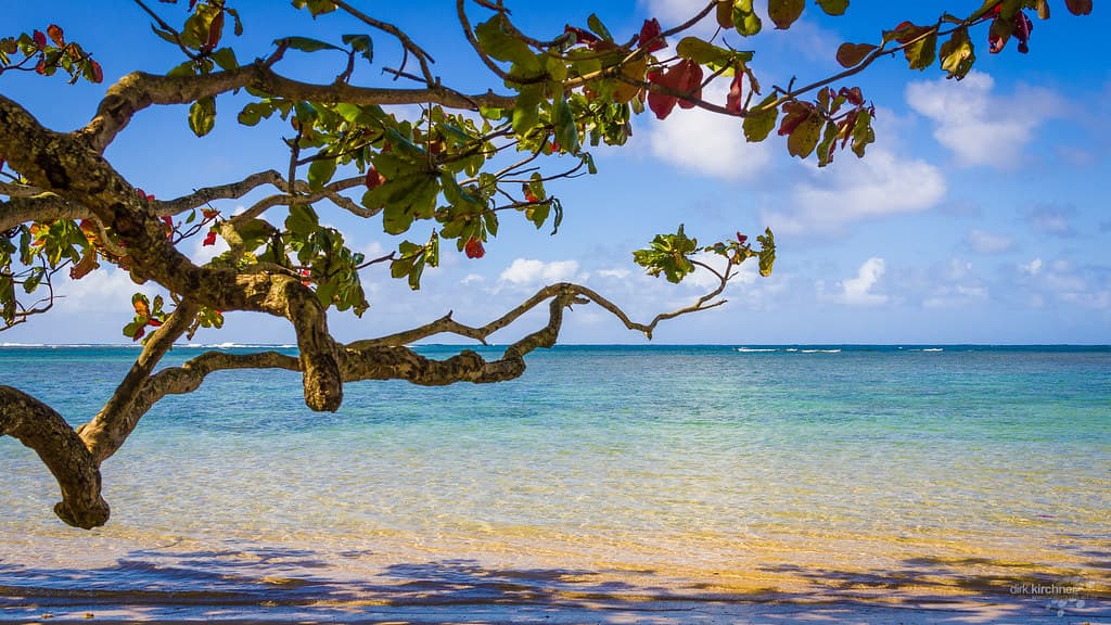 Kalihiwai Beach