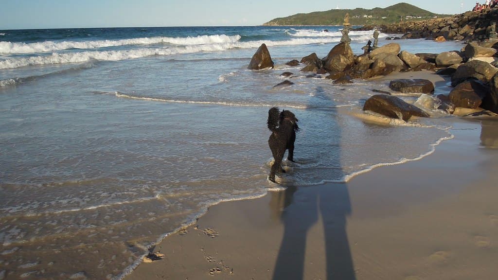 Belongil Beach, Byron Bay, New South Wales